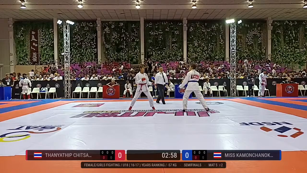 Frame at 00:13:10