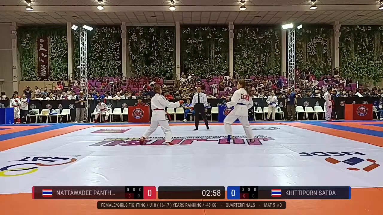 Frame at 00:17:35