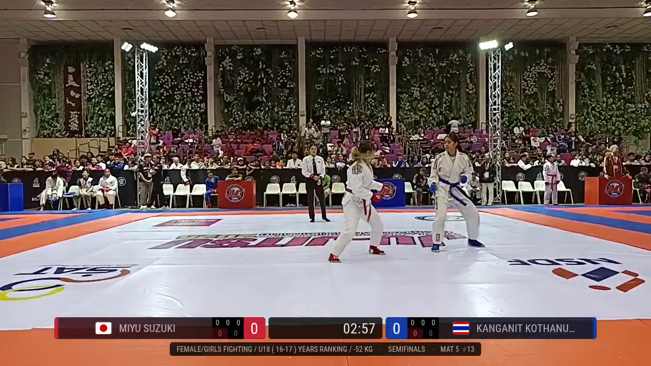 Frame at 01:10:35