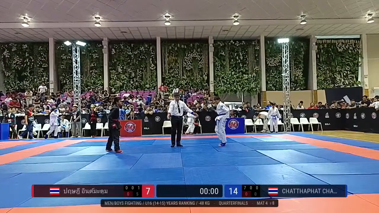 Frame at 00:45:31