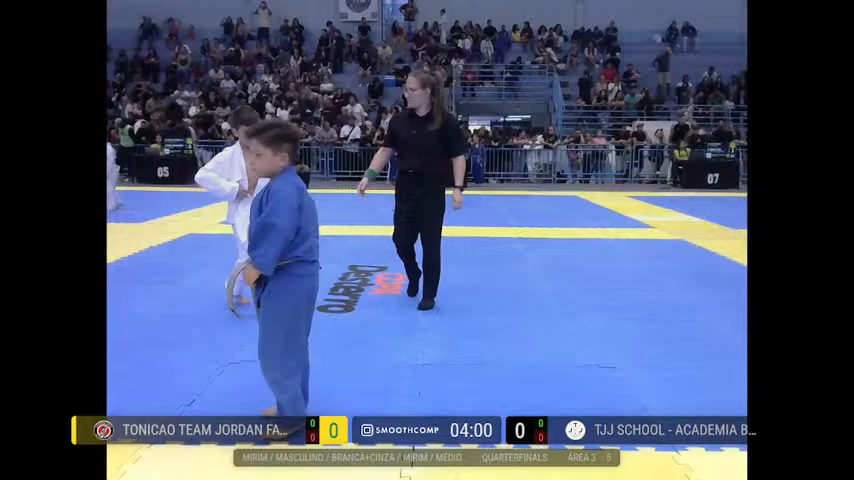 Frame at 00:29:20