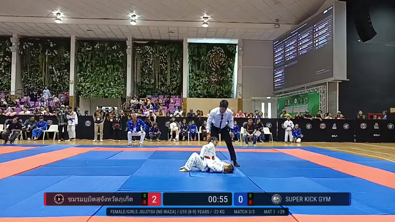 Frame at 00:29:14