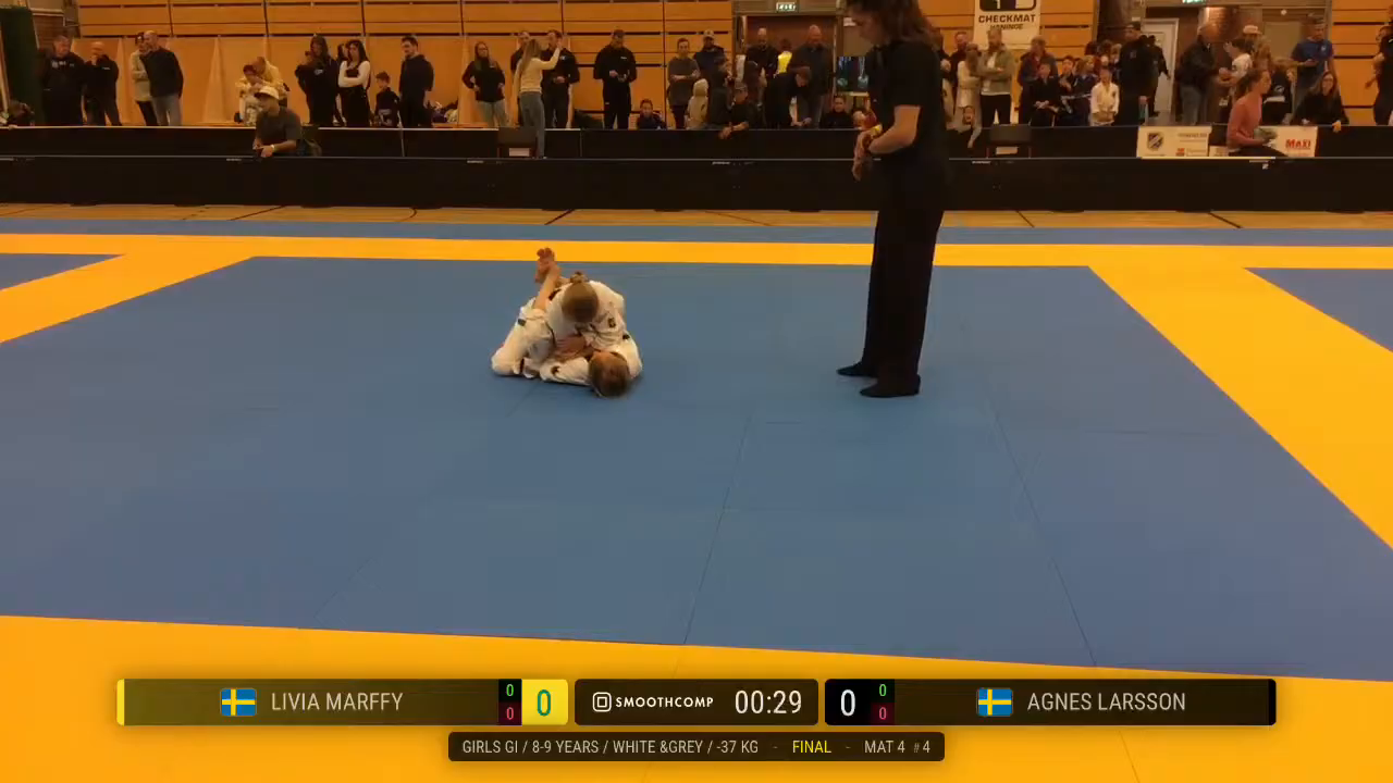 Frame at 00:29:13