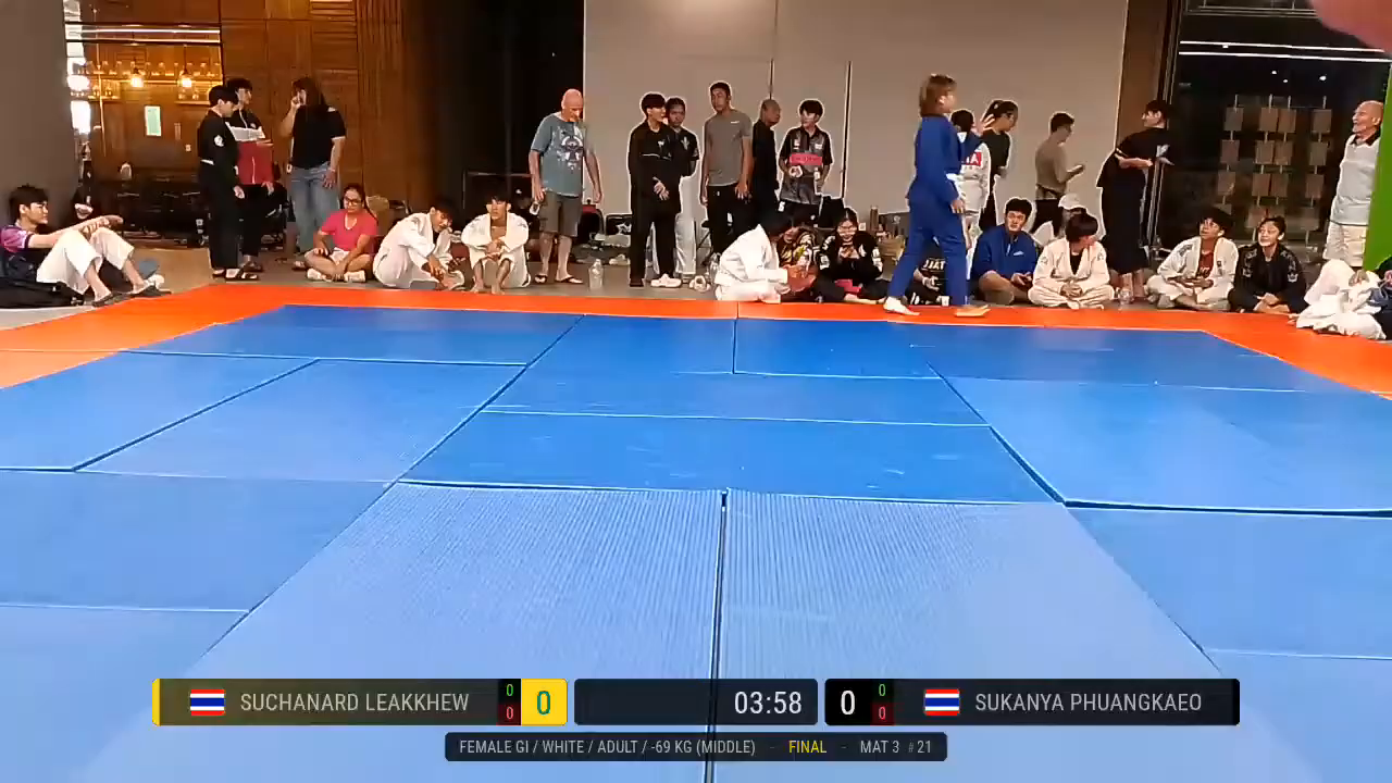 Frame at 01:33:39