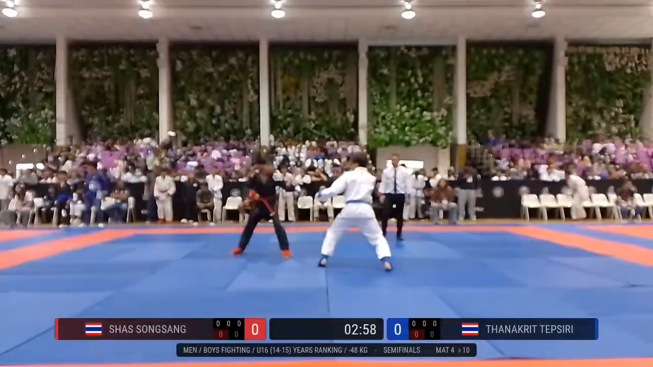 Frame at 00:29:28