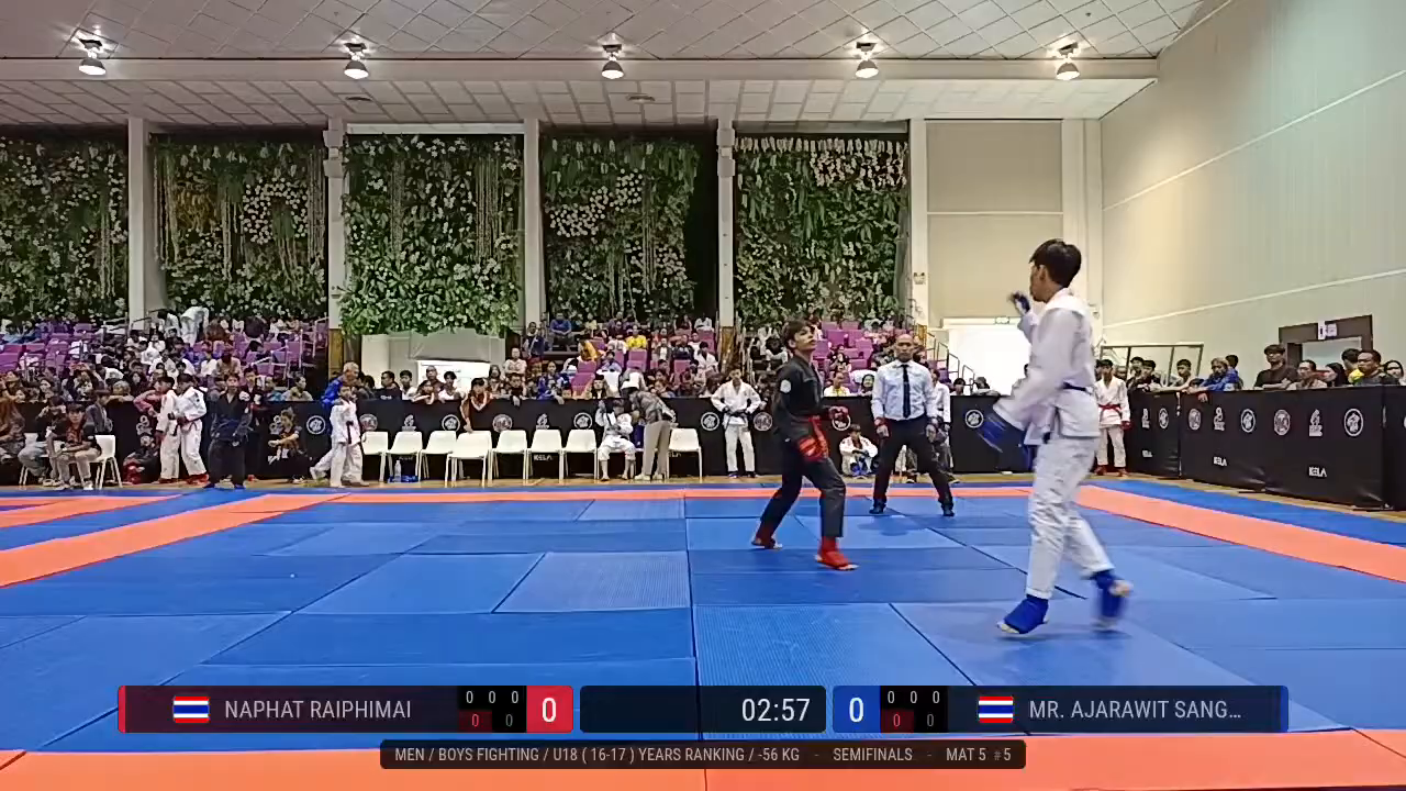Frame at 00:17:29
