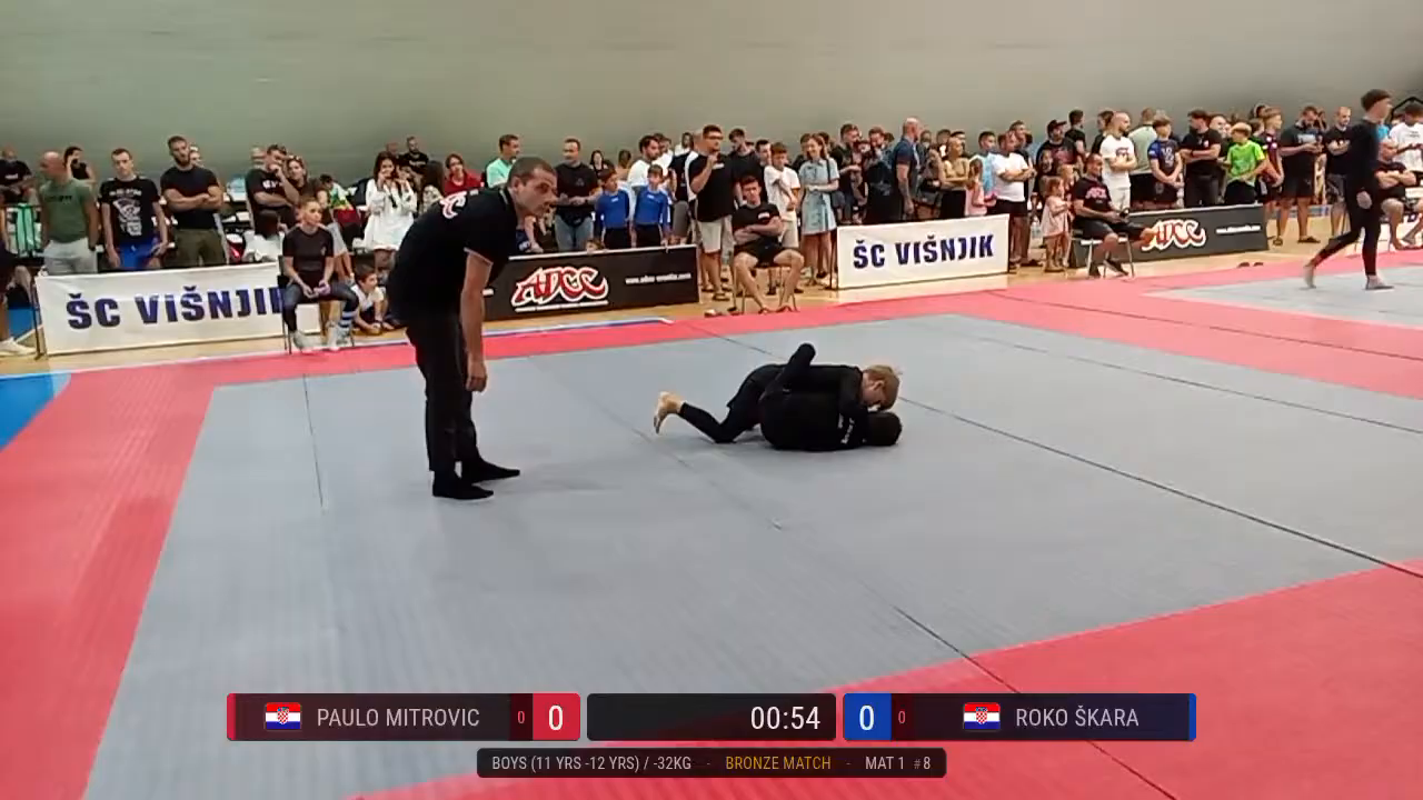 Frame at 00:29:46